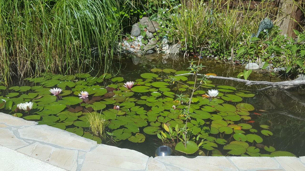 Le Mas Des Geais Boulazac Isle Manoire Ngoại thất bức ảnh